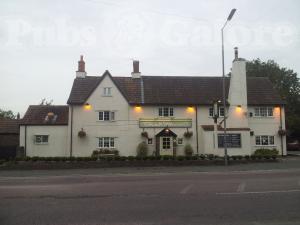 Picture of Swan at Nibley