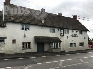 Picture of The Dog Inn