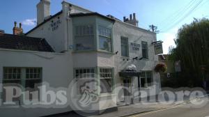 Picture of The White Lion