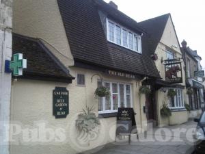 Picture of The Old Bear