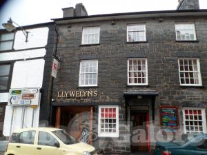 Picture of Llywelyns