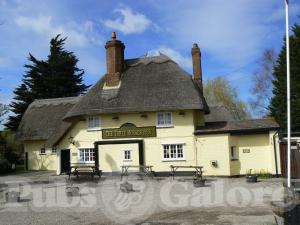 Picture of Three Horseshoes