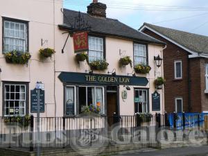Picture of Golden Lion