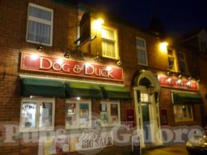 Picture of Dog & Duck