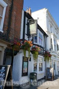 Picture of Green Dragon