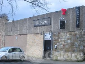 Picture of The Magpie