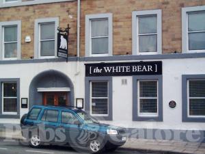 Picture of White Bear