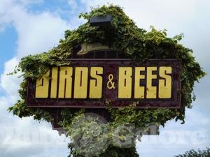 Picture of Birds & Bees