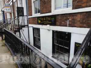 Picture of Hop & Vine