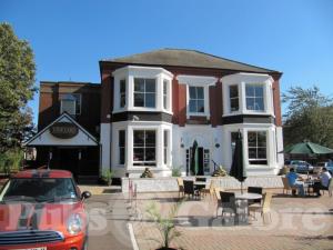 Picture of The Vineyard