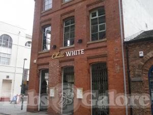 Picture of Chilli White