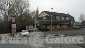 Picture of The Raven