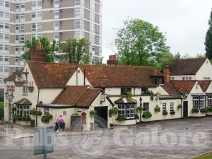 Picture of The Swan and Bottle