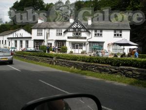 Picture of Cuckoo Brow