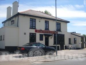 Picture of The White Horse