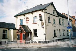 Picture of The Yew Tree