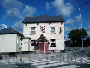 Picture of The Yew Tree