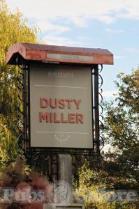 Picture of Dusty Miller