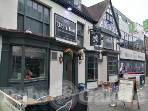 Picture of White Lion