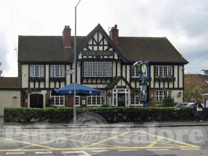 Picture of The Globe