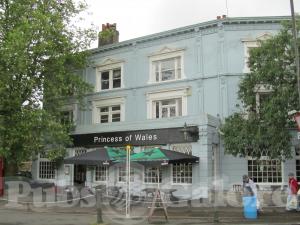 Picture of Princess of Wales