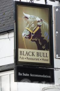 Picture of Black Bull