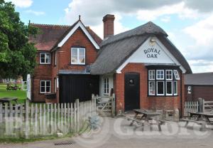 Picture of Royal Oak