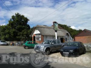 Picture of Royal Oak
