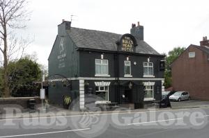 Picture of Bulls Head