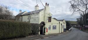 Picture of Wildmoor Oak