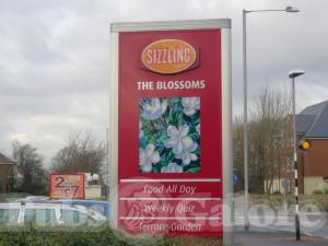 Picture of The Blossoms
