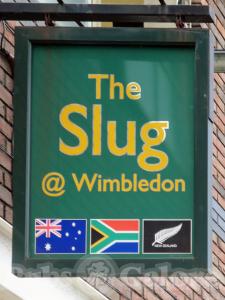 Picture of Slug @ Wimbledon