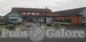 Picture of Glovers Needle