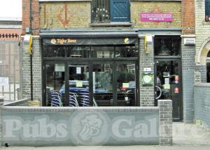 Picture of Yelo Bar