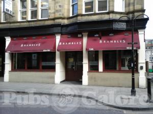 Picture of Brambles