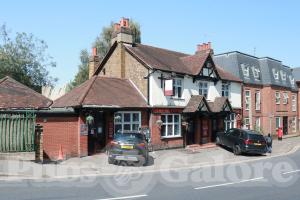 Picture of The Dolphin