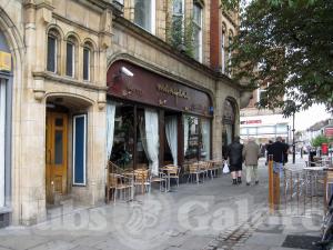 Picture of Baluga Bar