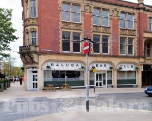 Picture of Baluga Bar 