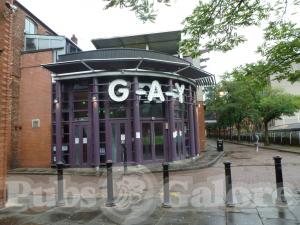 Picture of G-A-Y