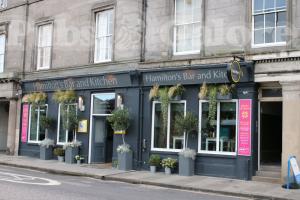 Picture of Hamilton's