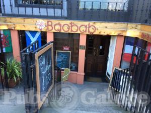 Picture of Baobab