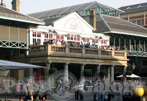 Picture of Punch & Judy