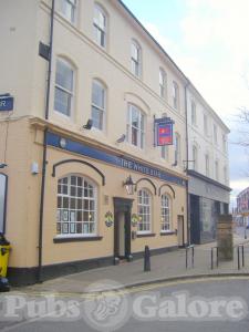 Picture of The White Star