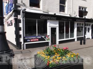Picture of Grapevine