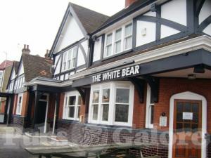 Picture of White Bear
