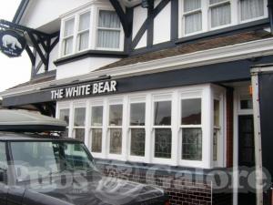 Picture of White Bear