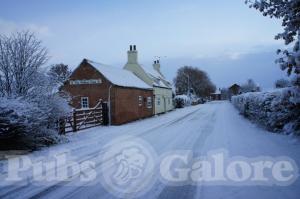 Picture of The Willow Tree Inn