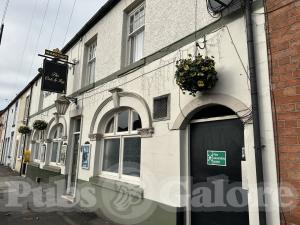 Picture of The Oak & Ivy