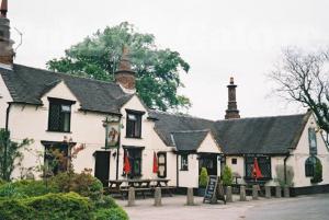 Picture of The Shire Horse