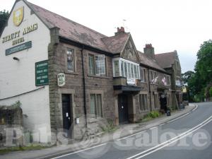 Picture of The Elephant & Peacock
